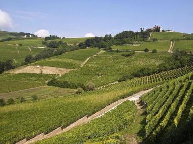 Italská oblast Langhe