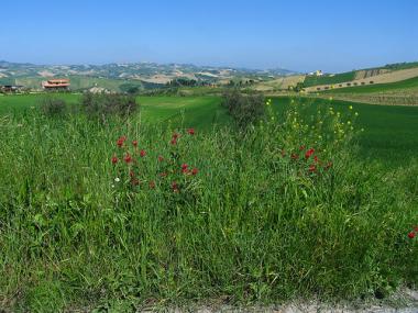 Italská krajina