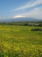 Sicilská sopka Etna